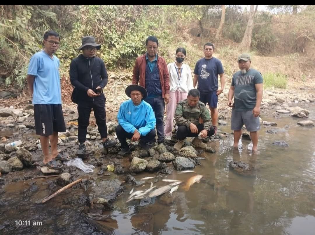 Tuichhuahen lui tur-in hrai (Mipui ei atan a him tih finfiah)